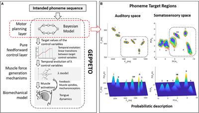 Modeling Sensory Preference in Speech Motor Planning: A Bayesian Modeling Framework